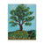 11X14 THE TREE CANVAS REPLICA