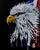 GOLDEN EAGLE 11X14 REPLICA STRETCHED CANVAS