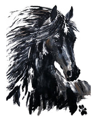 ONYX THE HORSE 11X14 CANVAS REPLICA