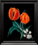 SUNNY TULIPS 8X10 ORIGINAL CANVAS BOARD