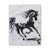 11X14 TROJAN HORSE CANVAS REPLICA