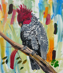 THE GANG GANG COCKATOO 11X14 CANVAS REPLICA