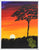 NEW SAVANNAH 11X14 ORIGINAL STRETCHED CANVAS
