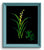 JUST BEAUTY 8X10 ORIGINAL CANVAS BOARD