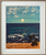 MONKEYS OCEAN 8X10 ORIGINAL CANVAS BOARD