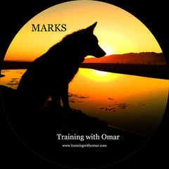 Training "Marks"  DVD video