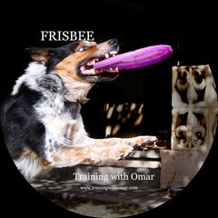 Training "The Frisbee" DVD Video