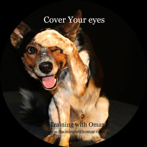 Cover your eyes